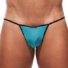 Gregg Homme Voyeur G-String 100614 -Smooth Men Wear Store 100614 07 close front