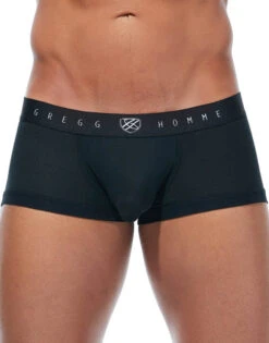 Gregg Homme Room-Max Air Trunk 172605