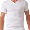 2xist Men's Pima Cotton V-Neck T-Shirt 041010 -Smooth Men Wear Store 261232