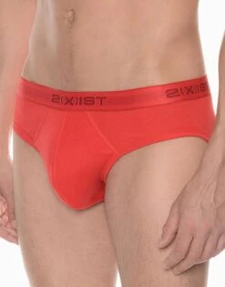 2xist 3-Pack Cotton No-Show Brief 020320 -Smooth Men Wear Store 2xist 020320 Blazing Yellow Formula One Lapis B d38b8a8e 822f 420b a533 4f44655bb4c5