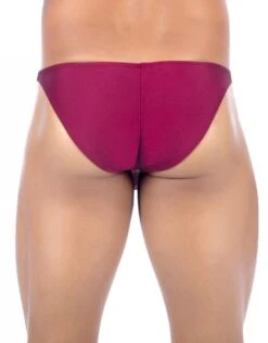 Joe Snyder Men's MaxiBulge Bikini JSMBUL01 -Smooth Men Wear Store 385487 c2cfb384 6dfa 4491 8eca 864d08e2350c