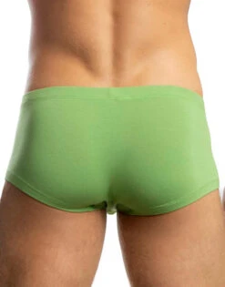 Jack Adams Bikini Boxer Brief 401-281 -Smooth Men Wear Store 401 281BikiniBoxerForrestBack 684x1026 a38fab0c ae6f 4f8a 8798 2f850a620f83
