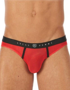 Gregg Homme Torridz Brief 87423 -Smooth Men Wear Store 421081