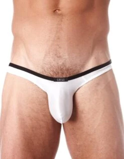 Gregg Homme Voyeur Thong 100604 -Smooth Men Wear Store 421243 6e6ed13a 22af 4be6 b064 196ad7ca75c0
