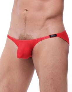 Gregg Homme Torridz Bikini 87403 -Smooth Men Wear Store 421450 f4dcfe72 61a9 4c47 8c60 915d7441b923
