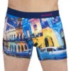 Papi Digital Boxer Brief 626720 -Smooth Men Wear Store 626720ASSORTIES 3