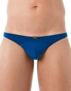 Gregg Homme Wonder Brief 96103 -Smooth Men Wear Store 96104 royal wonder close front.jpg 1 a4ae6764 e979 4830 bd81 8845483b98bd