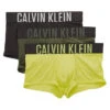 Calvin Klein Intense Power Micro Low Rise Trunk NB2593 2 Calvin Klein Intense Power Micro Low Rise Trunk NB2593 -Smooth Men Wear Store CKM NB2593 Citrina Black NewSlate B