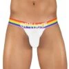 ErgoWear Max XV Pride Jockstrap EW1113 -Smooth Men Wear Store EW1113 1