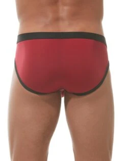 Gregg Homme Room-Max Brief 152703 -Smooth Men Wear Store Gregg Homme 152703 Red B 2 6cbc2690 70d6 4109 b713 bafe1f65e558