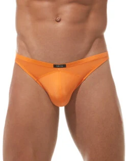 Gregg Homme Wonder Brief 96103