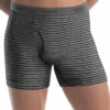 Hanes Men TAGLESS Ultimate Fashion Stripe Boxer Briefs With Comfort Flex Waistband 5-Pack 76925S -Smooth Men Wear Store Hanes 76925S Fashion Stripe B