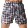Hanes Men Tartan Boxers With Comfort Flex Waistband 2-Pack 838VTY -Smooth Men Wear Store Hanes 838VTY Assorted B