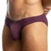 Jack Adams Bikini Brief 401-249 -Smooth Men Wear Store IMG 3083 hi401 249BikiniBriefBeetrootProfile