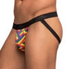 Male Power Pride Fest Jock Underwear Rainbow Herringbone 389-240 -Smooth Men Wear Store Male Power 389 240 Multi B 1