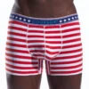 Cocksox American Collection Contour Pouch Boxer Brief CX12 -Smooth Men Wear Store cx12 liberty stripe 2